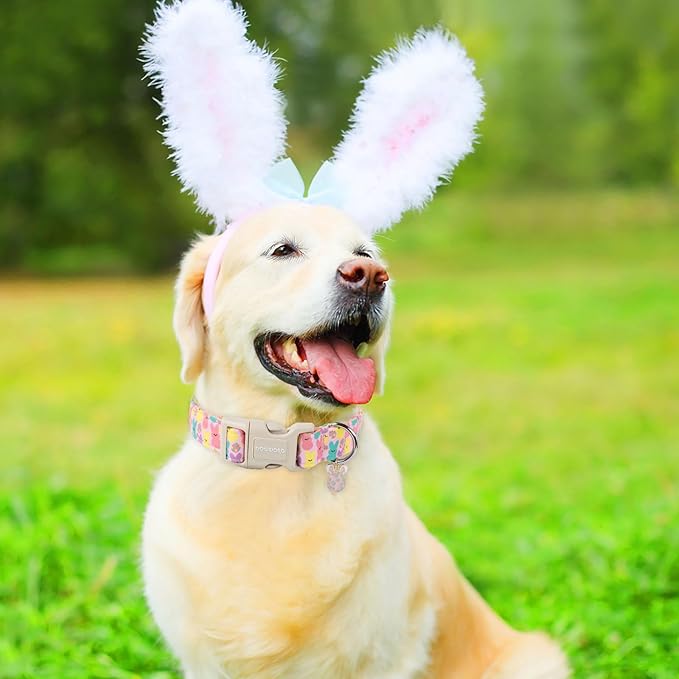 DOGWONG Cute Bunny Eggs Easter Dog Collar - Pink Babbit Pet Collar for Small & Medium Dogs