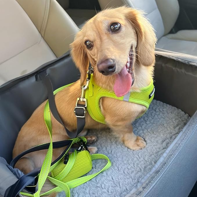 Best Pet Supplies Voyager Step-in Air Harness - All Weather Mesh, Reflective, No Pull Harness for Dogs, Cats - Secure with Hook & Loop Fastener, Buckle, Double D-Rings - Lime Green, XL