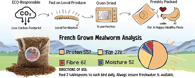 Chubby Dried Mealworms | 10 lbs | Premium EU-Grown Non-GMO Protein Treats for Chickens, Ducks, Wild Birds & Reptiles – High-Protein Chicken Feed Snack for Laying Hens