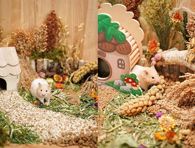 Natural Hamster Bedding Flowers Herbs Sprays Treat for Cage Habitat Enclosure Decor for Dwarf Syrian Gerbils Mice Mouse Rat Pet Accessories Supplies