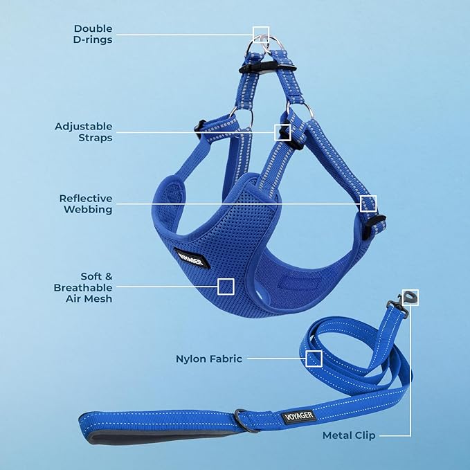 Best Pet Supplies Voyager Mesh Dog Breathable Harness Reflective Stitching, All Weather Adjustable for Walking Training, or Running - Heavy Duty & Durable, Harness Leash Set (Royal Blue), M