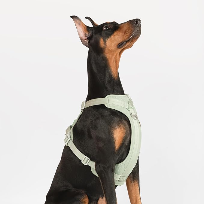 All-Weather No Pull Dog Harness Reflective Vest Harness QR Code Anti-Lost Adjustable Quick-Release Buckle Soft Padded Breathable Harness for Small Medium Large Dog (Super Reflect-Black, L)