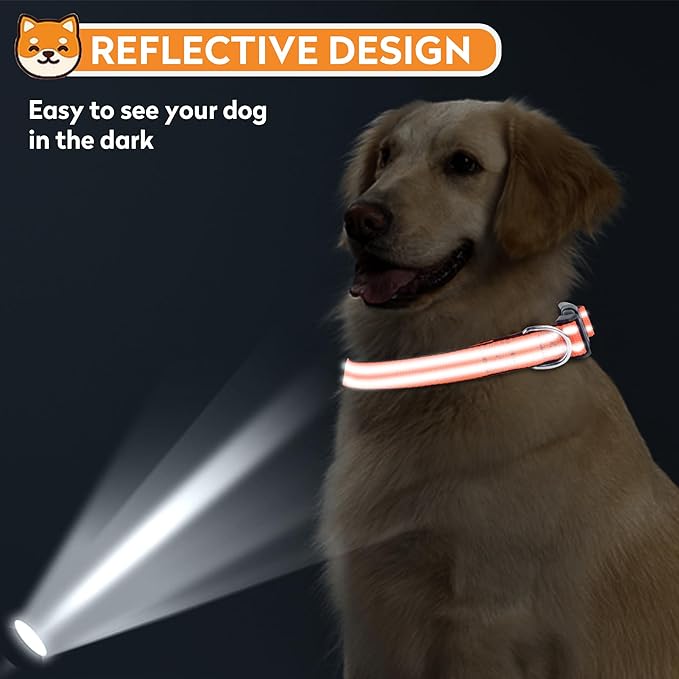 Reflective Dog Collar, Adjustable Soft Neoprene Padded Nylon Pet Collars with Buckle for Puppy and Small Dogs, Cats, Orange,XS