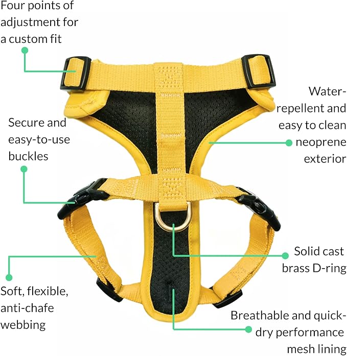DJANGO Adventure Dog Harness - Stylish Small Dog Harness for Outdoor Adventures and Everyday Wear - Dandelion Yellow Neoprene Adjustable Harness for Dogs with Reflective Piping and Solid Brass D-Ring