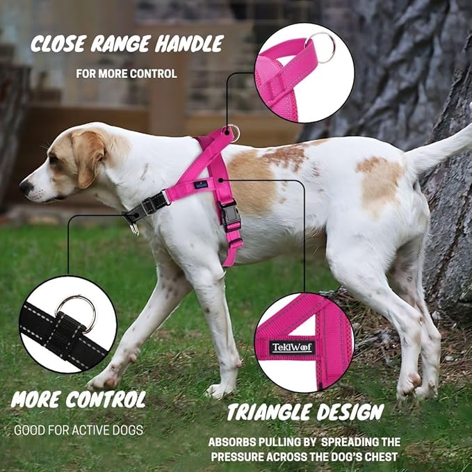 No Pull Dog Harness with Handle, Rear & Front Clip, Adjustable, Easy On/Off, Reflective, Lightweight & Mesh Padded, No Choke. for Small, Medium and Large Dogs (Pink-Black, Small)