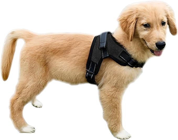 No Pull Reflective Adjustable Dog Harness With Handle- Comfortable Soft All Weather Mesh, Easy On Puppy Harness For Small Medium and Large Dogs (Black) X-Small