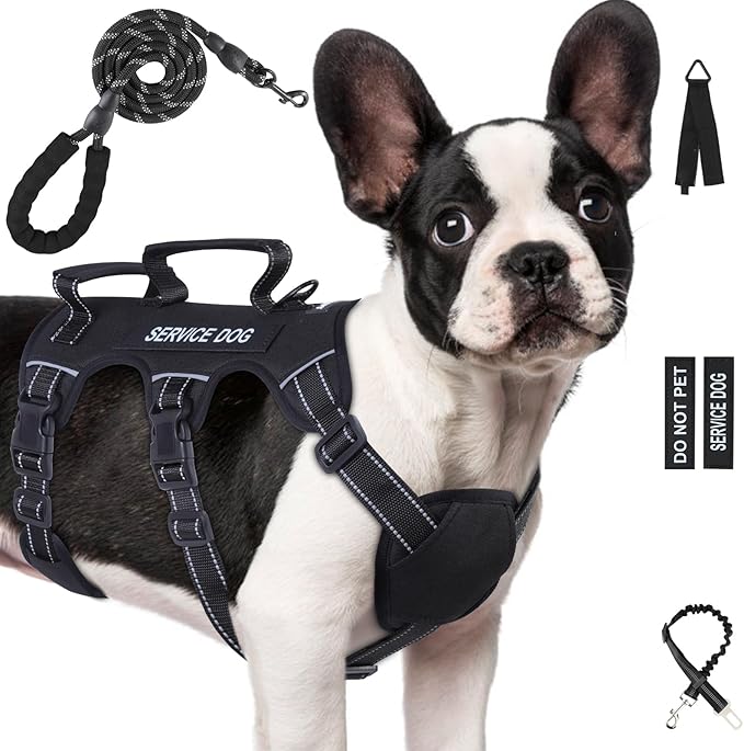 Escape Proof Dog Harness for Large Medium Sized Dogs Six Point Adjustable, Service Dog Vest Harness and Leash Set, No Pull Dogs Harnesses with Handle, Medium Dog Harnesses for Walking(Black, M)
