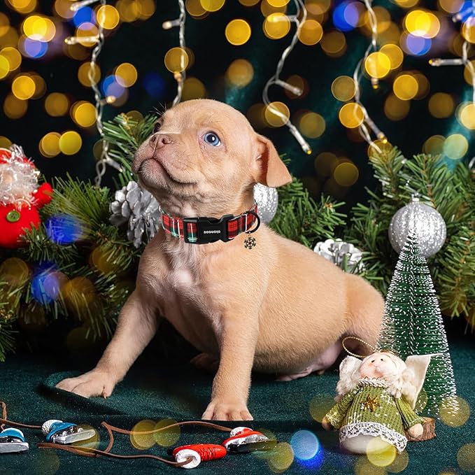 DOGWONG Christmas Plaid Dog Collar- Cute Red Christmas Checked Dog Collars Adjustable Grid Dog Collar for Small Medium Large Dogs M