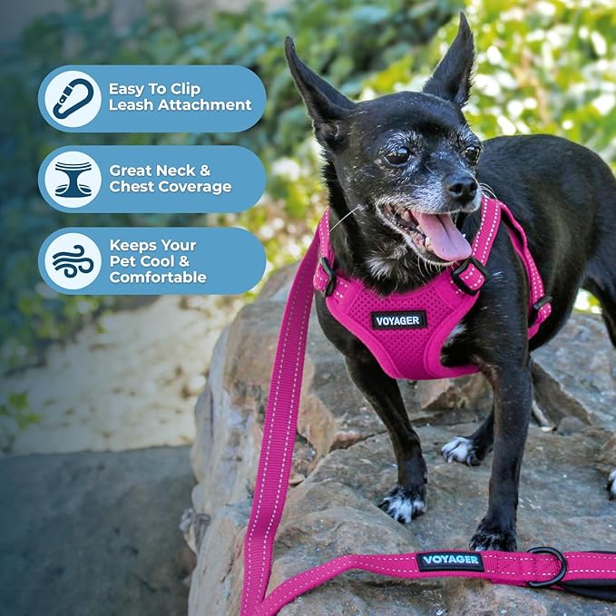 Best Pet Supplies Voyager Mesh Dog Breathable Harness Reflective Stitching, All Weather Adjustable for Walking Training, or Running - Heavy Duty & Durable, Harness Leash Set (Fuchsia), S
