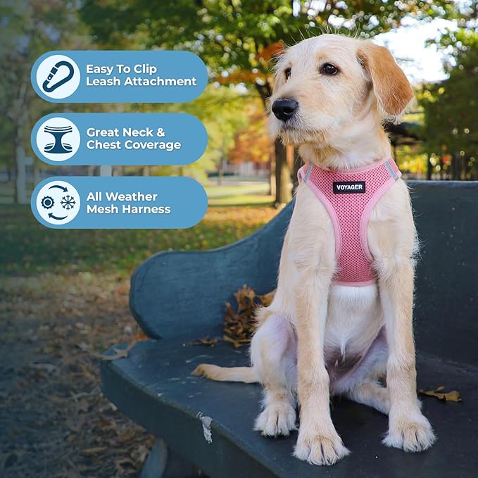 Best Pet Supplies Voyager Step-in Air Harness - All Weather Mesh, Reflective, No Pull Harness for Dogs, Cats - Secure with Hook & Loop Fastener, Buckle, Double D-Rings - Pink, XXXS
