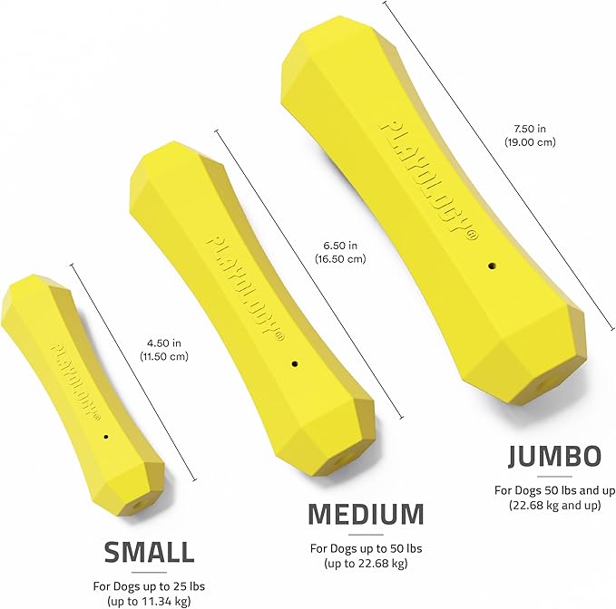 Playology Dog Toys | Durable Squeaky Chew Stick for Dogs | Medium Chicken Scented Toy - Easy to Clean and Made from Non Toxic Materials