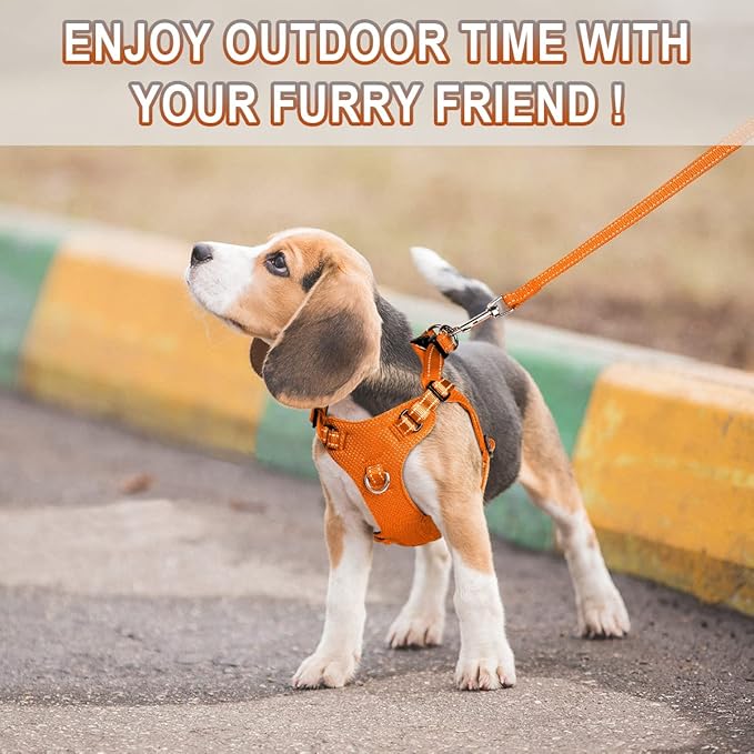 Dog Harness Step in Dog Vest Harness, Reflective Adjustable Puppy No Pull Harness Breathable Soft for Small and Medium Dogs Cats, Orange, S