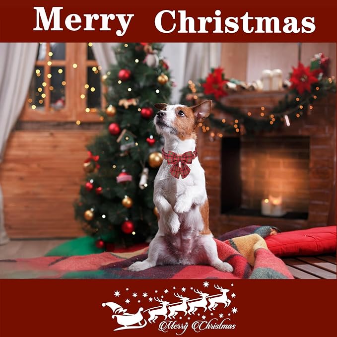 Unique style paws Christmas Dog Collar with Bow Tie Black Red Green Plaid Puppy Collar for Small Medium Large Dogs as Autumn Winter Pet Gifts-M