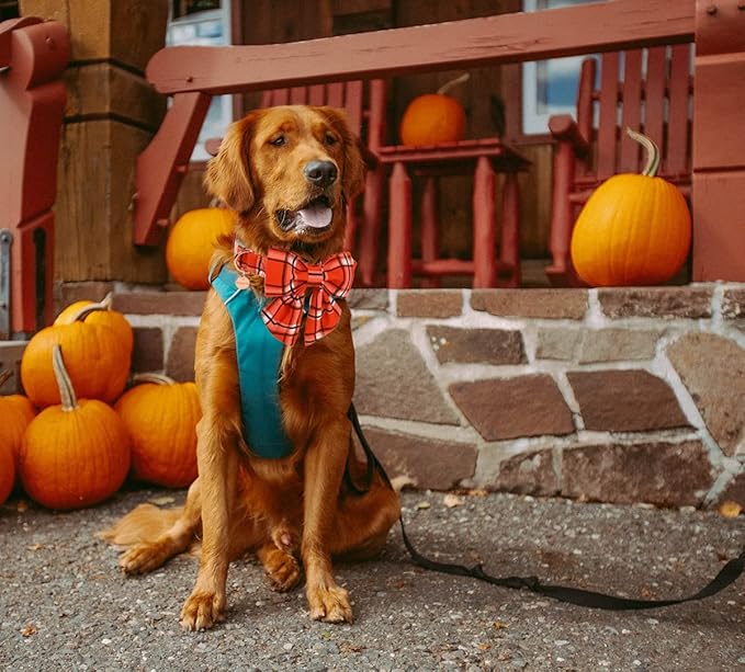 DOGWONG Fall Plaid Dog Collar with Removable Cute Bow Tie Adjustable Pet Collars, Soft Comfy Orange Plaid Pet Collar - Fall Dog Collar for Small Medium Large Dogs