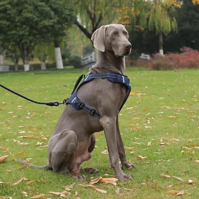 Dog Harness No Pull Adjustable Reflective,for Medium and Large Small Dog with Leash 59.06in (Dark Blue, S)