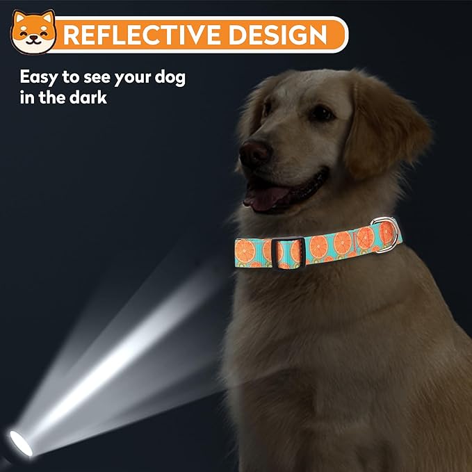 Reflective Dog Collar, Adjustable Soft Neoprene Padded Nylon Pet Collars with Buckle for Puppy and Small Dogs, Cats, Summer Lemon,S
