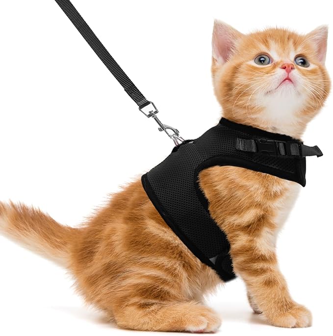 PUPTECK Soft Mesh Cat Vest Harness and Leash Set Puppy Padded Pet Harnesses Escape Proof for Cats Small Dogs Rabbits Bunny(Small, Black)