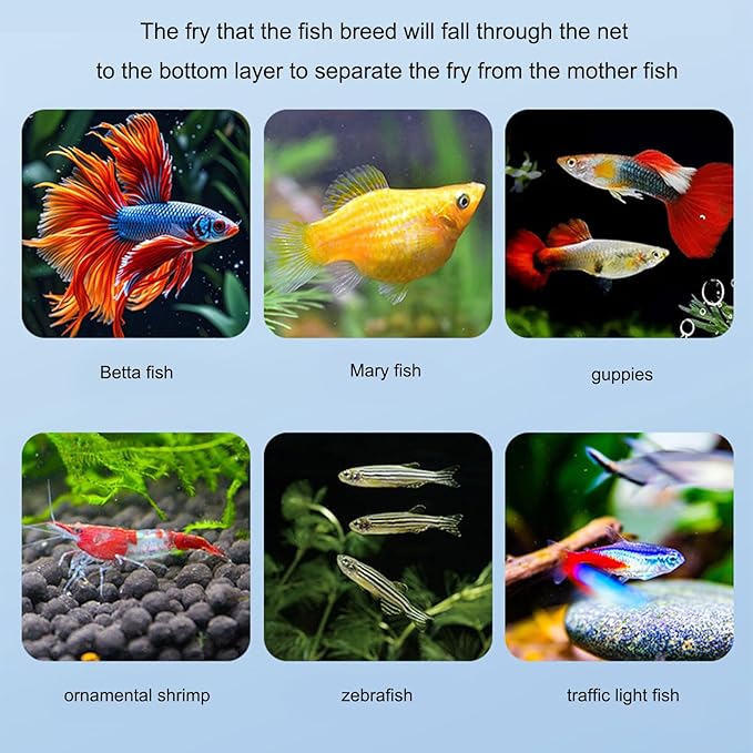 3pcs Floating Nursery Tanks Breeding Box for Baby Fish and Shrimp Great for Home and Office Aquariums Use