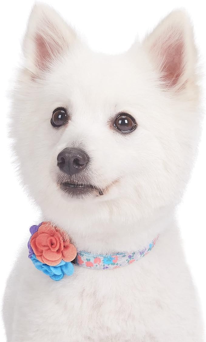 Blueberry Pet Dog Collar, Adjustable Floral Print Puppy Collar in Lavender with Removable Flower, Small 12"-16" Neck, Cute Girl Dog Accessories, Pink Dog Collars for Small Dogs, Safe Fit