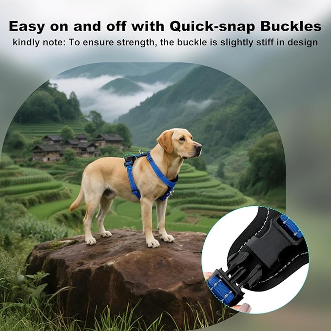 Plutus Pet Adjustable No Pull Dog Harness with Leather Accents, Heavy Duty Reflective Nylon Vest for Training, Hiking, Easy Walk Harness for Small, Medium, Large Dogs (Royal Blue, S)