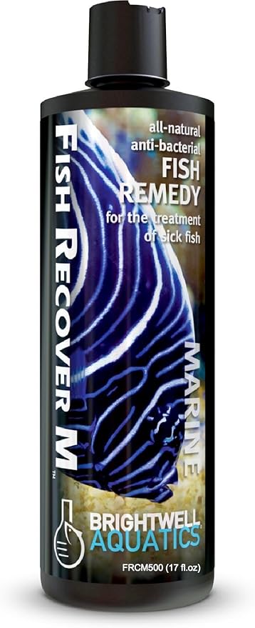 Brightwell Aquatics Fish Recover M – Botanical Remedy for Treating Marine Fish Health Issues, 500 ml