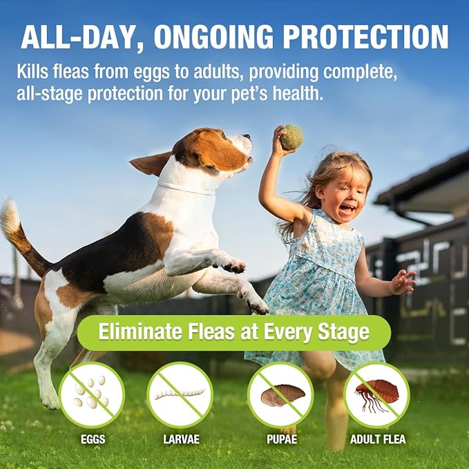 EcoVenger Flea Collars for Dogs & Cats - Flea & Tick Repellent 2-Pack White. Built-in Pant-Based Formula Strong Repellency Slow Release, Lasting Protection, Pleasant Aroma, Waterproof