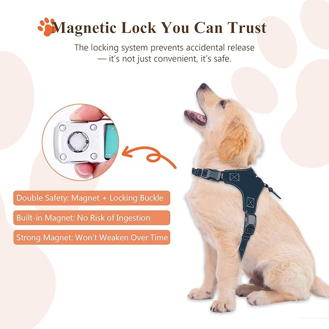 Magnetic Quick-Release Buckle Dog Harness and Leash Set, Easy Walk Faux Leather Puppy Harness and Leash, Easy On & Off Dog Vest for Small, Medium, Large Girl Boy Dogs for Training, Blue,L