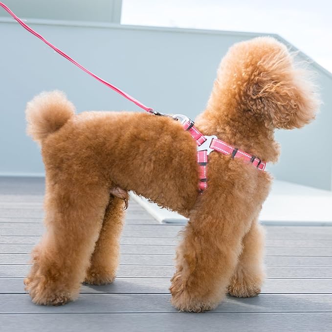 EXCELLENT ELITE SPANKER No Pull Dog Harness Adjustable Nylon Step-in Easy Pet Vest Chest Strap with Reflective and Leash Ring for Small Medium Large Breed Dogs Training Walking(Red-S)