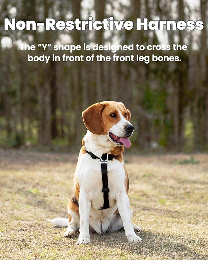 Non-Restrictive Dog Harness, Easy Walk Freedom No Pull Harness, Keep Balance, Neck-Buckle, Six Points Adjustment, 2 Leash Clips for Back and Front Clip (Orange/Black, X-Large)