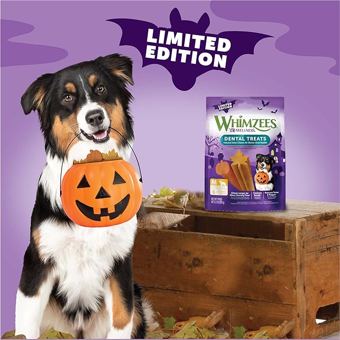 Whimzees Wellness Fall Dog Dental Treats, Autumn Natural Chews for Dogs, Medium Size Stick, (6 Count) (Pack of 6)