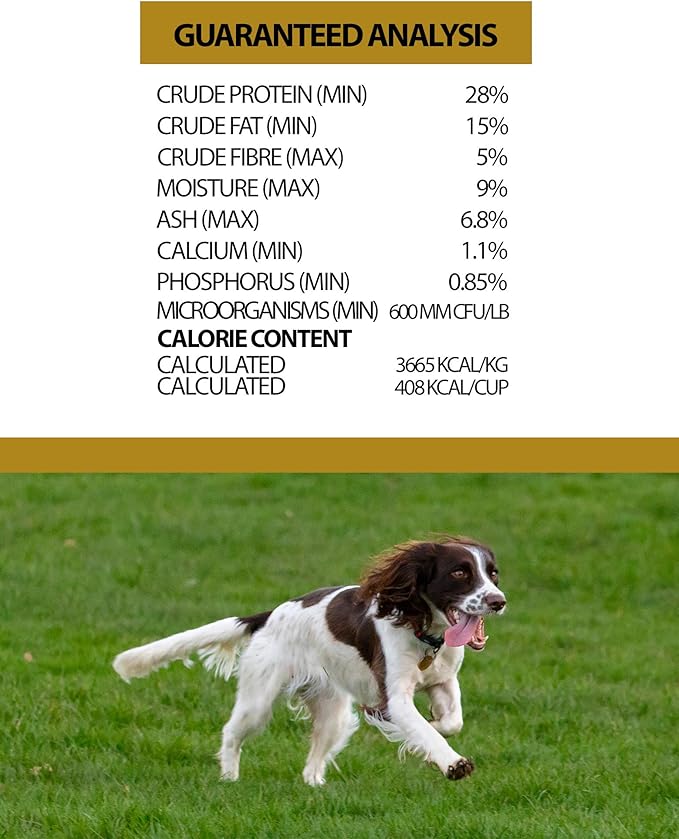 Pulsar Premium Grain Free Dog Food | Chicken Formula | All Life Stage, Non GMO, Meat Dense Diet | 25 lb Bag