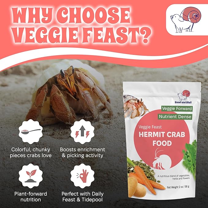 Snout and Shell Veggie Feast Hermit Crab Food – Nutrient-Dense Vegetable Blend with Pea Flakes, Pumpkin Seed, Carrots & Flowers – Natural Foraging Mix for All Hermit Crab Species – 2 oz / 56 g