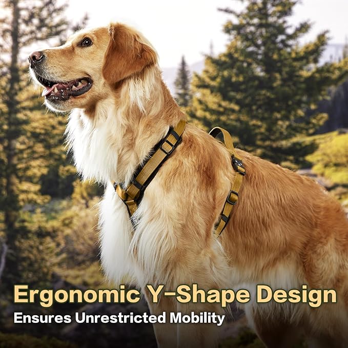 PawsPassion Dog Harness for Small Dogs, No Pull Dog Harness Easy Walk with Metal Hardware, Ergonomic Y-Shaped Design, Soft Padding, Padded Handle, Durable High-Tensile Nylon (Sunrise, S)