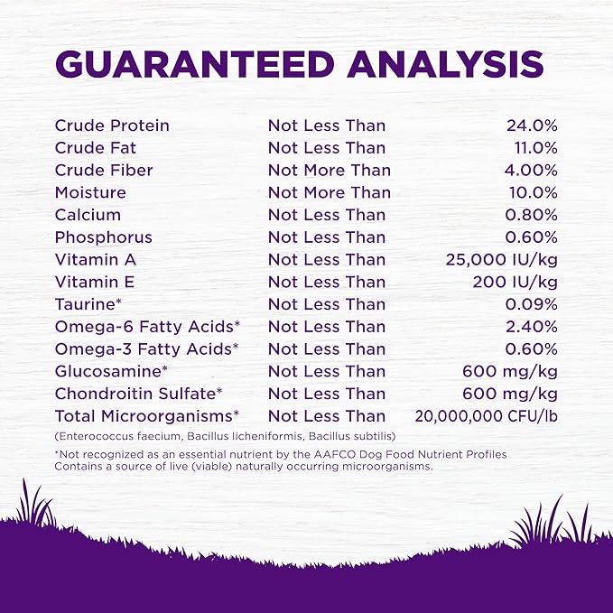 Wellness Complete Health Dry Dog Food, Wholesome Grains, Chicken & Oatmeal, (38-Pound Bag)