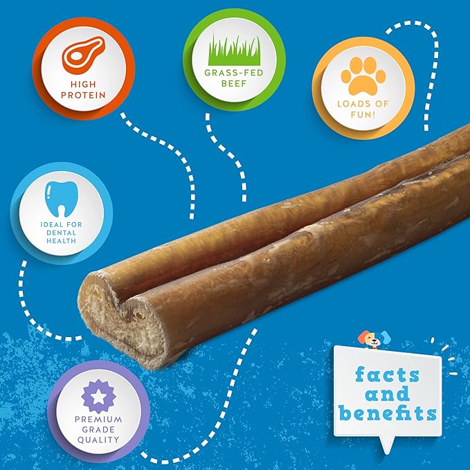 Jack&Pup 12 Inch Thick Bully Sticks for Large Dogs (10 Pack) Bully Sticks for Medium Dogs, Single Ingredient Dog Chew Sticks