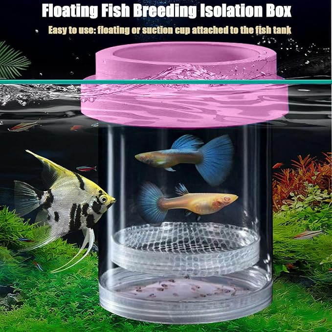 Floating Fish Breeding Isolation Box for Aquarium Tank Plastic Mesh Hatchery Incubator Breeder Box for Baby Fish Betta Shrimp Clownfish Guppy (Pink,Medium)
