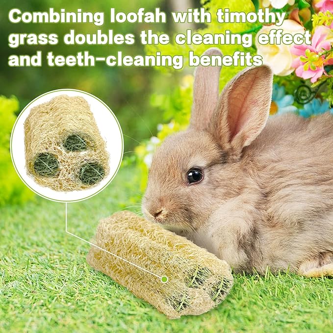 BNOSDM Bunny Chew Toys Natural Loofah 12PCS Bunny Teeth Grinding Toy Rabbit Fiber-Rich Treats Pet Entertainment Accessories for Rabbits Chinchillas Guinea Pig（S）