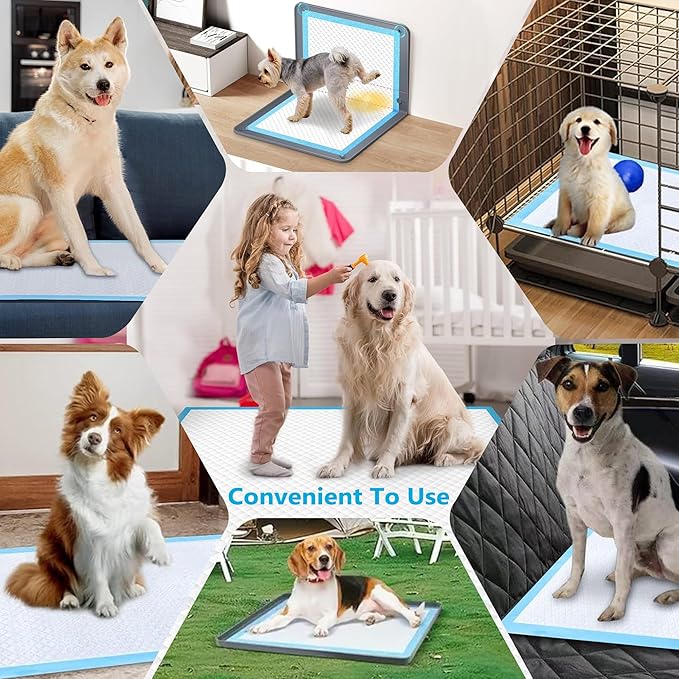 Puppy Pee Pads for Dogs - 30 Count Pet Training Dog Pee Pads, 30''x36'' Extral Large Heavy Absorbent & Leak-Proof Puppy Pads, Thicken 6 Layers Disposable Potty Pads for Dogs Cats Rabbit