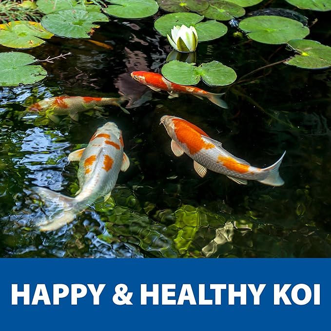 The Pond Guy Spring & Fall Wheat Germ Fish Food for Koi & Goldfish, Premium Cold Weather Floating Pellets, Healthy Formula for Winter Nutrition, 40 lbs