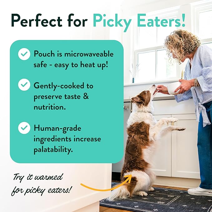 Portland Pet Food Company Fresh Dog Food Pouches - Human-Grade Toppers Wet Pet Meal & Mixers - Small & Large Breed Puppy & Senior Dogs - Gluten-Free, Limited Ingredient Rosie’s Beef N' Rice - 8 Pack
