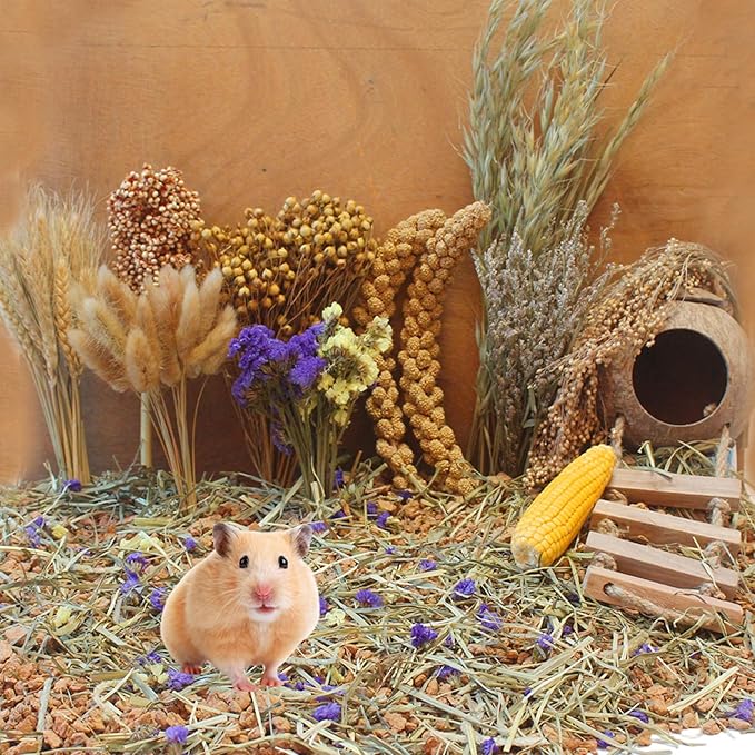 Natural Hamster Bedding Flowers Herbs Sprays Treat for Cage Habitat Enclosure Decor for Dwarf Syrian Gerbils Mice Mouse Rat Pet Accessories Supplies