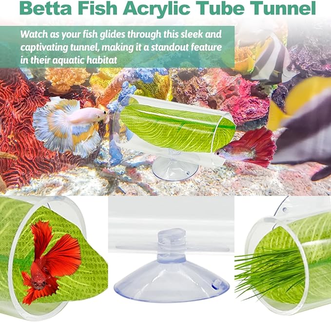 Hamiledyi 2 Pcs Betta Fish Acrylic Tube Tunnel Betta Fish Toys Betta Fish Tunnel Aquarium Hideouts for Rest Play Transparent Design for Better Observation of Fish Tank Decoration (Transparent)