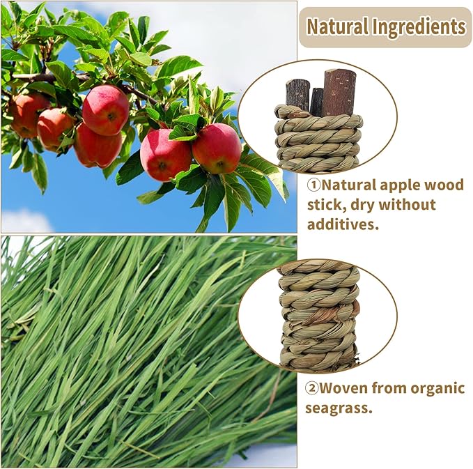 Fhiny 12 PCS Guinea Pigs Chew Toys, Natural Apple Branch Seagrass Molar Sticks for Teeth Bunny Chew Toys Cage Accessories for Guinea Pigs Rabbit Bunny Hamster Chinchilla