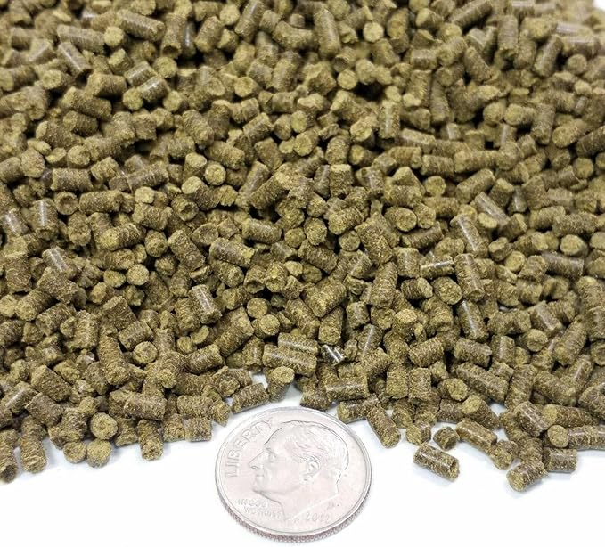 Aquatic Foods Inc. Spirulina Sinking Pellets for Shrimp, Snails, Crabs, Catfish, Plecos for All Tropical Fish 1/16" x 3/8" Pellets by Zeigler…6-lb Lg Jar