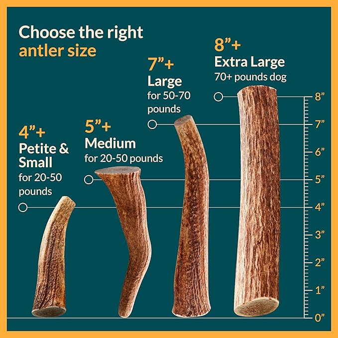 100% Natural - Antlers for Dogs ( Split ) - Naturally Shed in USA - Grade A Long Lasting Chew for Aggressive Chewers - Elk Antlers Dog Antler Chews - Real, Treats & Toys - No Odor & No Mess - Small