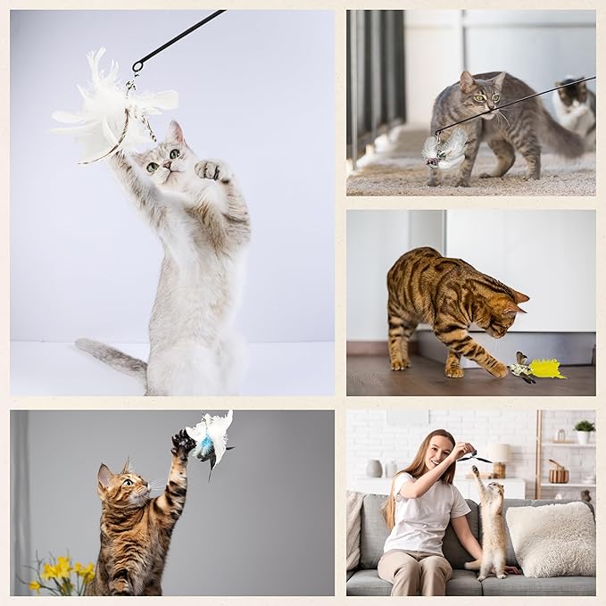 Variety Play Set, 5 Pack Refills for Wand and Fishing Poles, Spring Wires, Door/Wall Hang Ropes. 2 Bird, 2 Feather & Windmill Cat Toys - Bells & Easy Clip-On