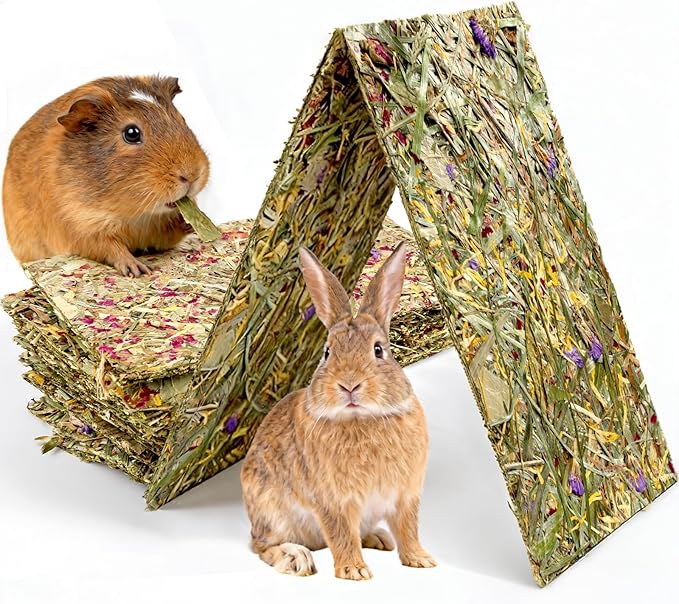 Abizoo Rabbit & Guinea Pig Treats 8 Pack Large Timothy Hay Bunny Chew Toys with Herbal Flowers Timothy Hay Forage Mix for Rabbits Guinea Pig Chinchillas Hamster Gerbils Rats Small Animals Teeth Care