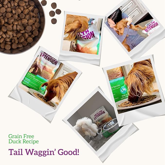 Health Extension Grain Free Duck & Sweet Potato Dry Dog Food - 30+ Superfoods and Probiotics for All Life Stages (4lb)