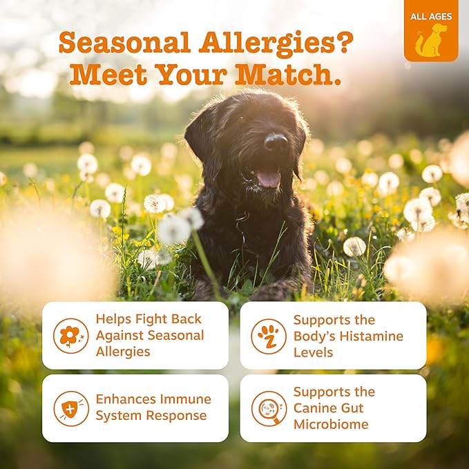 Zesty Paws Dog Allergy Relief Chews, Dog Probiotics for Itchy Skin and Ears, Peanut Butter, 90ct