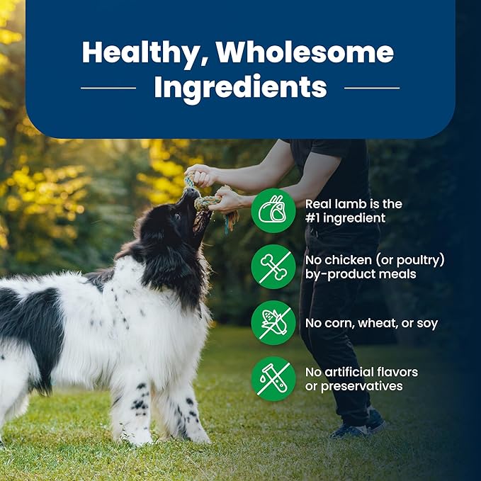Blue Buffalo Life Protection Formula Adult Dry Dog Food, Helps Build and Maintain Strong Muscles, Made with Natural Ingredients, Lamb & Brown Rice Recipe, 24-lb. Bag